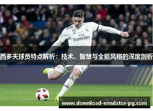 西多夫球员特点解析：技术、智慧与全能风格的深度剖析