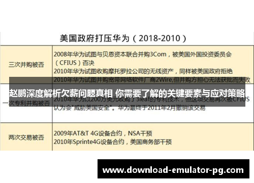 赵鹏深度解析欠薪问题真相 你需要了解的关键要素与应对策略