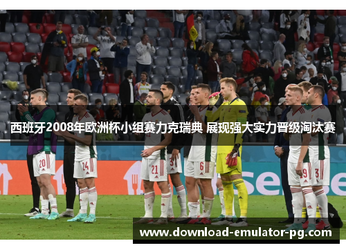 西班牙2008年欧洲杯小组赛力克瑞典 展现强大实力晋级淘汰赛