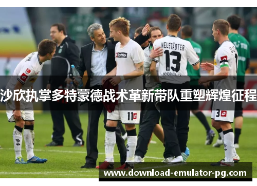 沙欣执掌多特蒙德战术革新带队重塑辉煌征程 沙欣执掌多特蒙德战术革新带队重塑辉煌征程